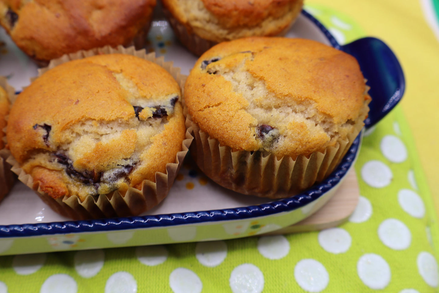 Sugar Free Muffins, Gluten Free, Dairy Free, Vegan, Organic Fruit, Chocolate Chip, Wellness Gift, Low Calorie Breakfast, Birthday Brunch