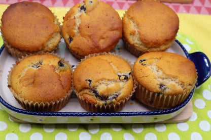 Sugar Free Muffins, Gluten Free, Dairy Free, Vegan, Organic Fruit, Chocolate Chip, Wellness Gift, Low Calorie Breakfast, Birthday Brunch