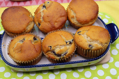 Sugar Free Muffins, Gluten Free, Dairy Free, Vegan, Organic Fruit, Chocolate Chip, Wellness Gift, Low Calorie Breakfast, Birthday Brunch