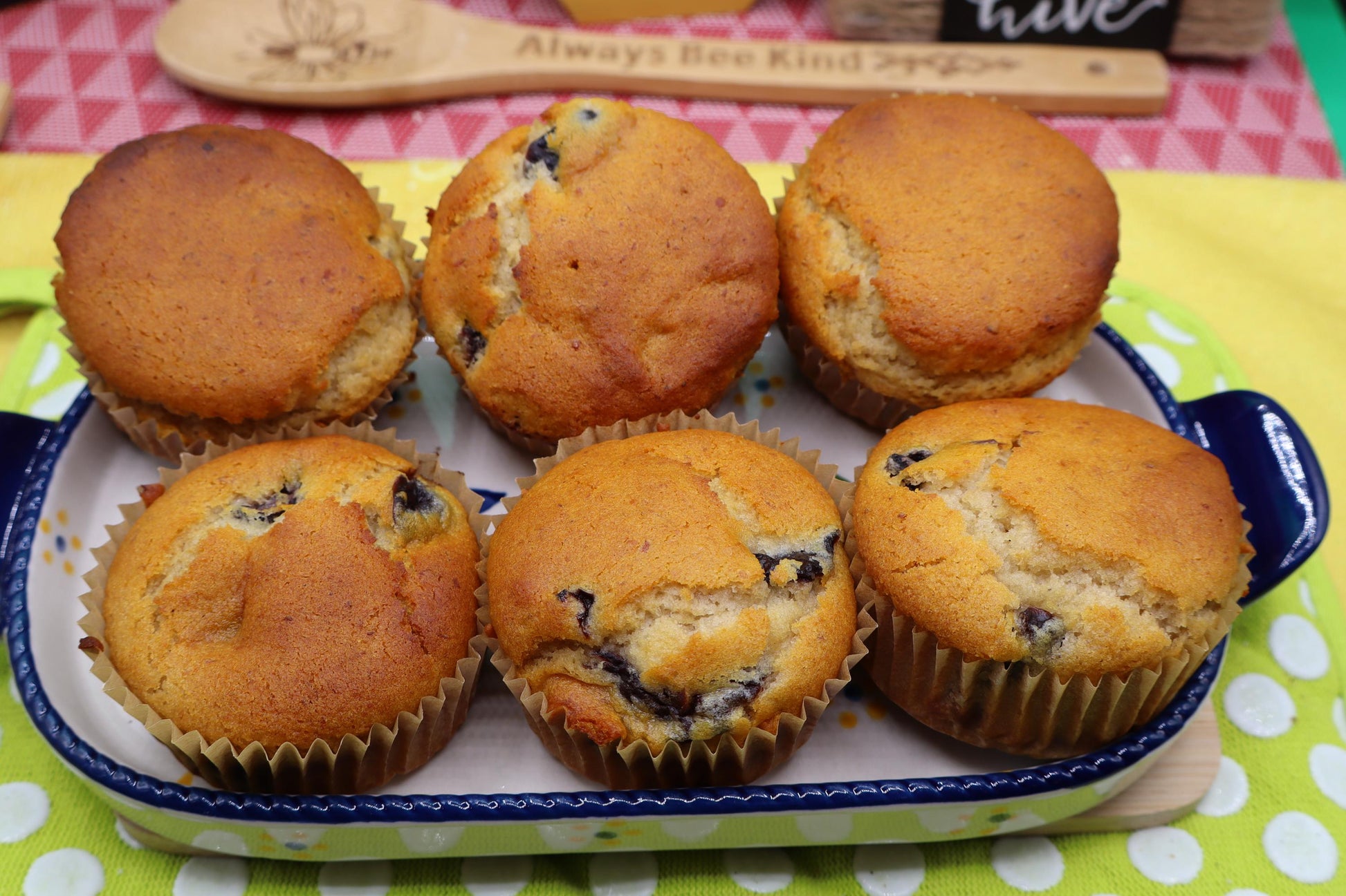 Sugar Free Muffins, Gluten Free, Dairy Free, Vegan, Organic Fruit, Chocolate Chip, Wellness Gift, Low Calorie Breakfast, Birthday Brunch