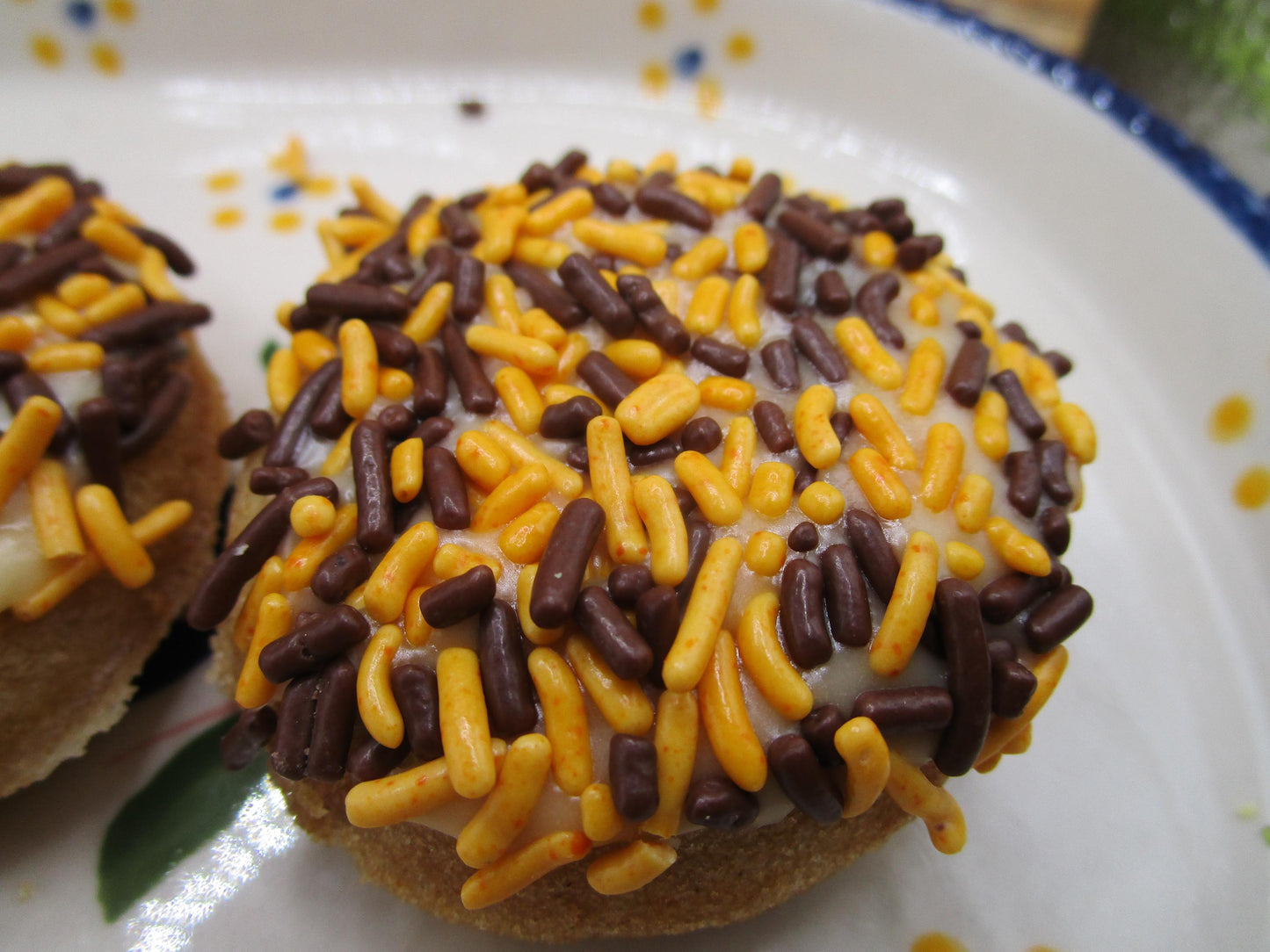 Gluten Free Mini Donuts Frosted with Natural Sprinkles, Dairy Free, Vegan, School Safe Treats, Nut Free, Birthday Gifts, Camp Snacks, Pool