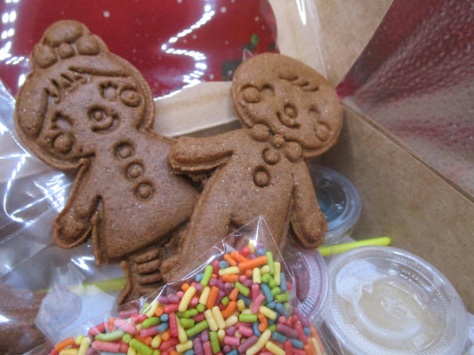 Gingerbread Cookie Kit, Gluten free, Dairy Free, Egg Free, Rudolf, Grinch, Peanut Free, Christmas in July, Party Packs, Class Party, Holiday