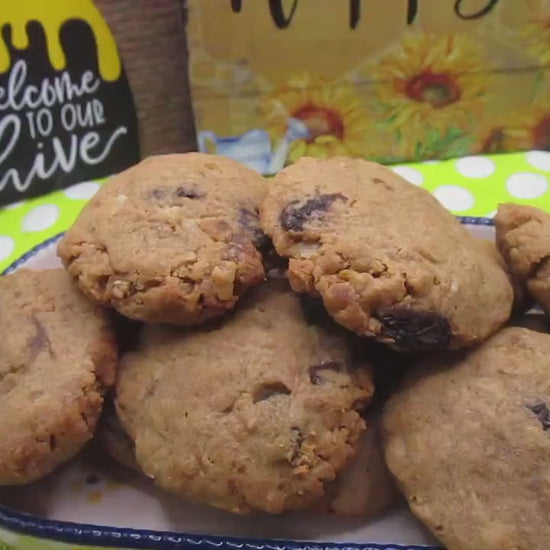 Gluten Free Protein Cinnamon Raisin Cookies, Dairy Free, Egg Free, Vegan, Nut Free, Sugar Free, Portable Fitness snack, Clean Eating Gifts