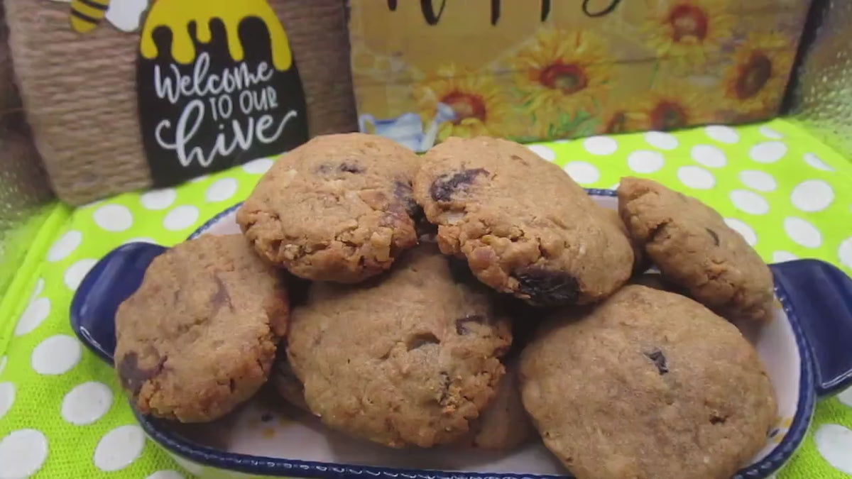 Gluten Free Protein Cinnamon Raisin Cookies, Dairy Free, Egg Free, Vegan, Nut Free, Sugar Free, Portable Fitness snack, Clean Eating Gifts