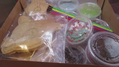 Cookie Kit, Princess, Gluten Free, Dairy Free, Egg Free, Nut Free, Cinderella, Anna, Elsa, Tinkerbell, Frozen Characters, 1st Birthday Party