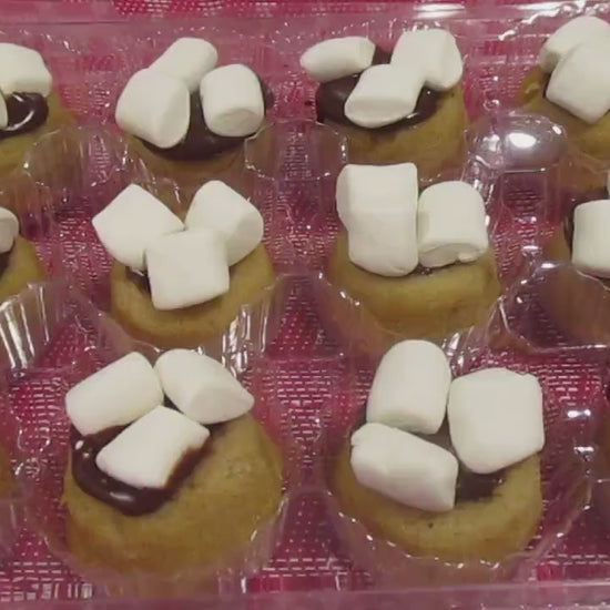 Gluten Free Smores Mini Donut Rings, Dairy Free, Vegan, Marshmallow treat, School Safe Dessert, Nut Free Snacks, Birthday, Graduation Party
