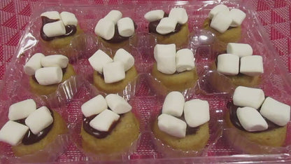 Gluten Free Smores Mini Donut Rings, Dairy Free, Vegan, Marshmallow treat, School Safe Dessert, Nut Free Snacks, Birthday, Graduation Party