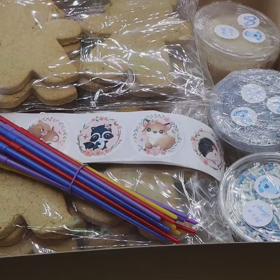 Gluten Free Cookie Kits, Unicorn & Rainbows, Dairy Free, Egg Free, Nut Free, Vegan, Girls Birthdays, School Safe, Sugar Free, Party Favors