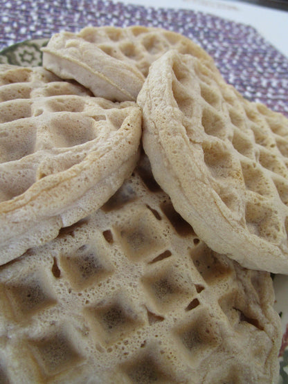 AIP Waffles, Grain Free, Gluten Free, Paleo, Vegan, Egg Free, Dairy Free, Brunch, Ready to go, Whole 30, No Refined Sugar, Birthday Gift,