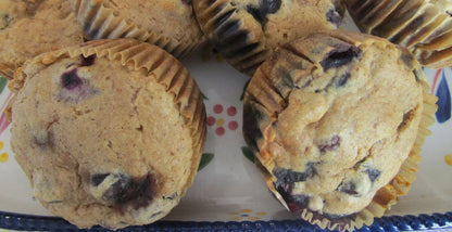 Muffin, High Protein, Gluten Free, Dairy Free, Egg Free, Buckwheat, Grain Free, Collagen, Anabolic, low calorie, low fat, Blueberry, Vegan