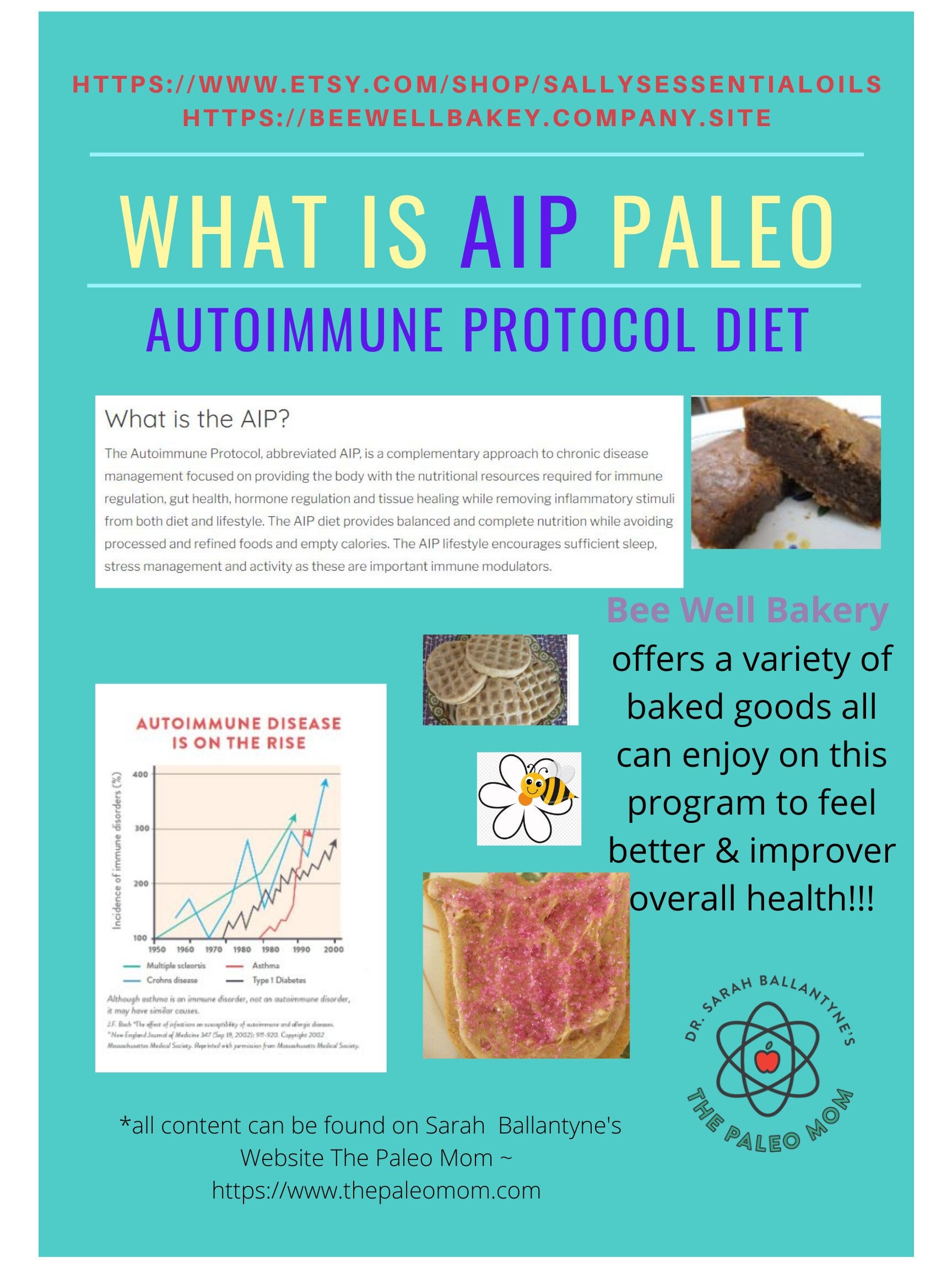 AIP Paleo, Grain Free, Bakery Box Sampler, Gluten Free, Vegan, Egg Free, Dairy Free, Nut Free, No Refined Oil, Wellness Gift, Autoimmune