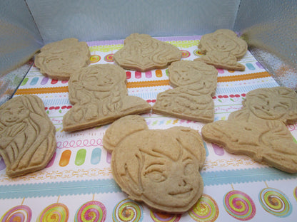 Cookie Kit, Princess, Gluten Free, Dairy Free, Egg Free, Nut Free, Cinderella, Anna, Elsa, Tinkerbell, Frozen Characters, 1st Birthday Party