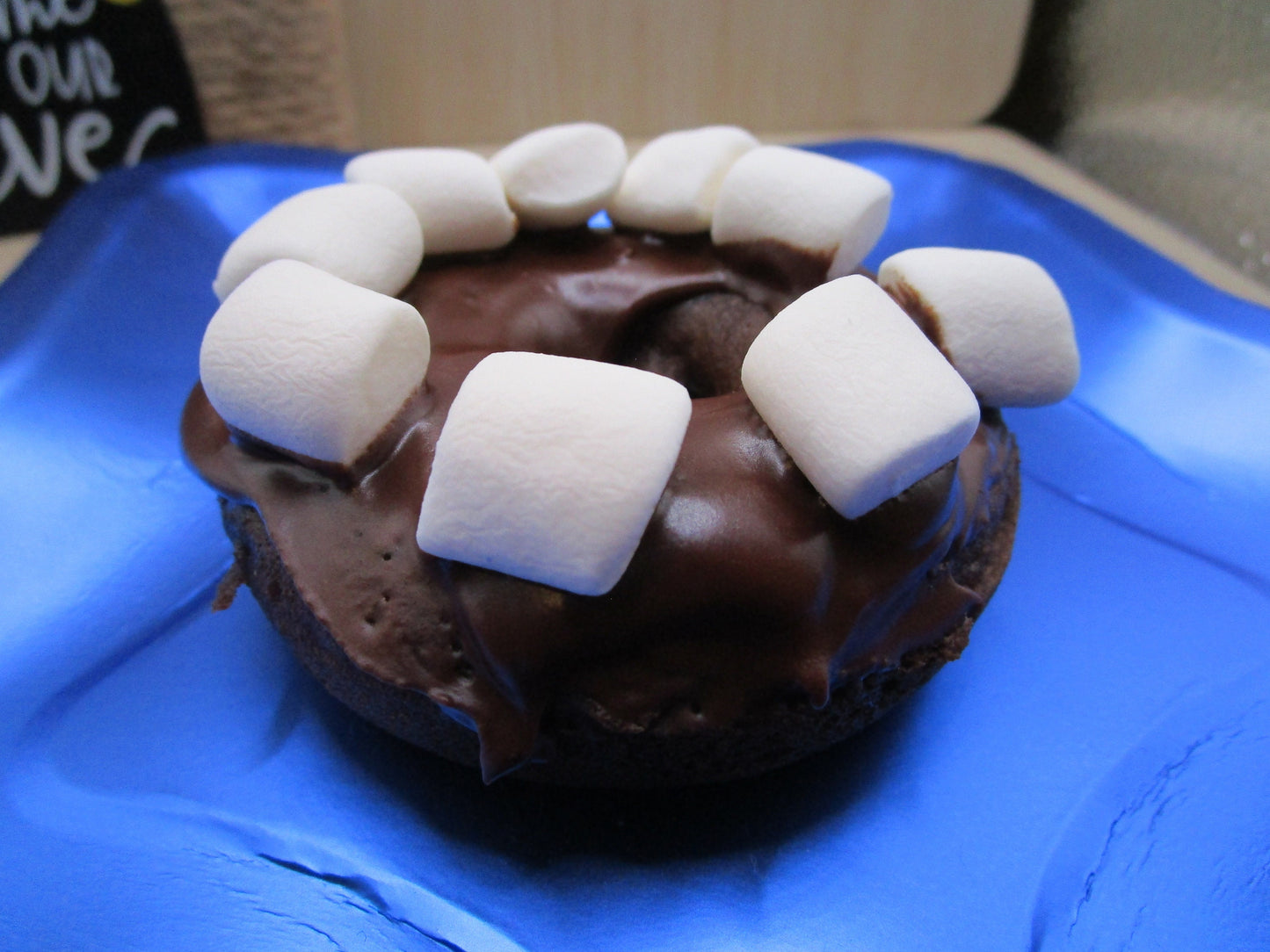 Smores Chocolate Donut, Gluten Free, Dairy Free, Egg Free, Glazed, Vegan, Nut Free, School Safe, Birthday Party, Marshmallow, Camp Fire Fun
